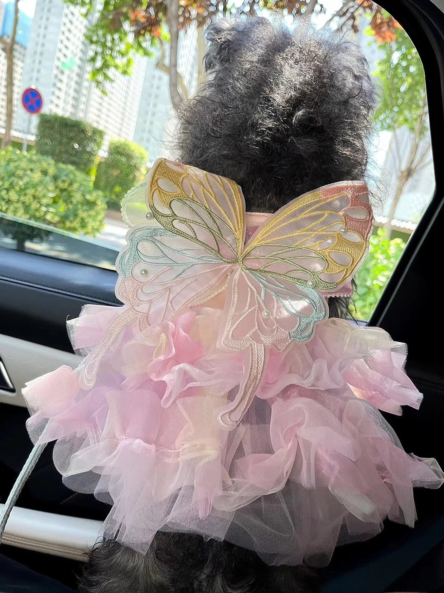 Striped Princess Pet Dress