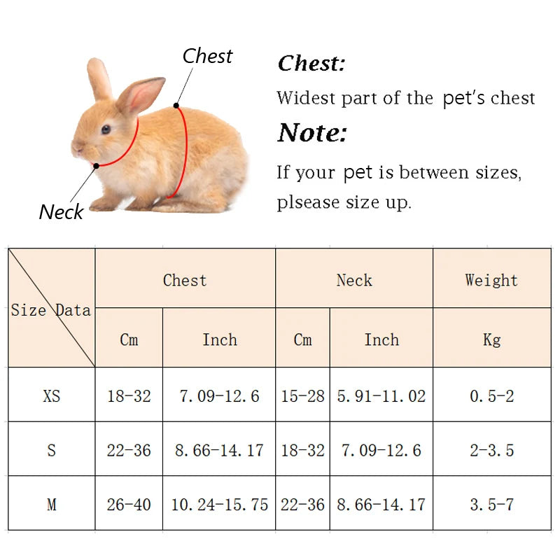 Angel Wing Pet Harness