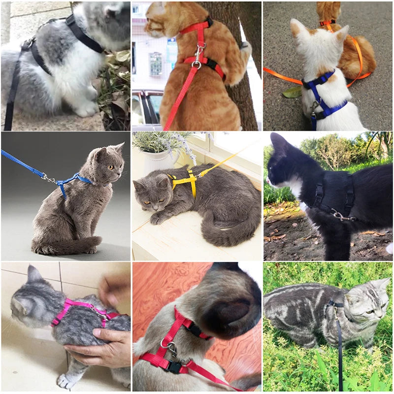 Nylon Pet Harness Set
