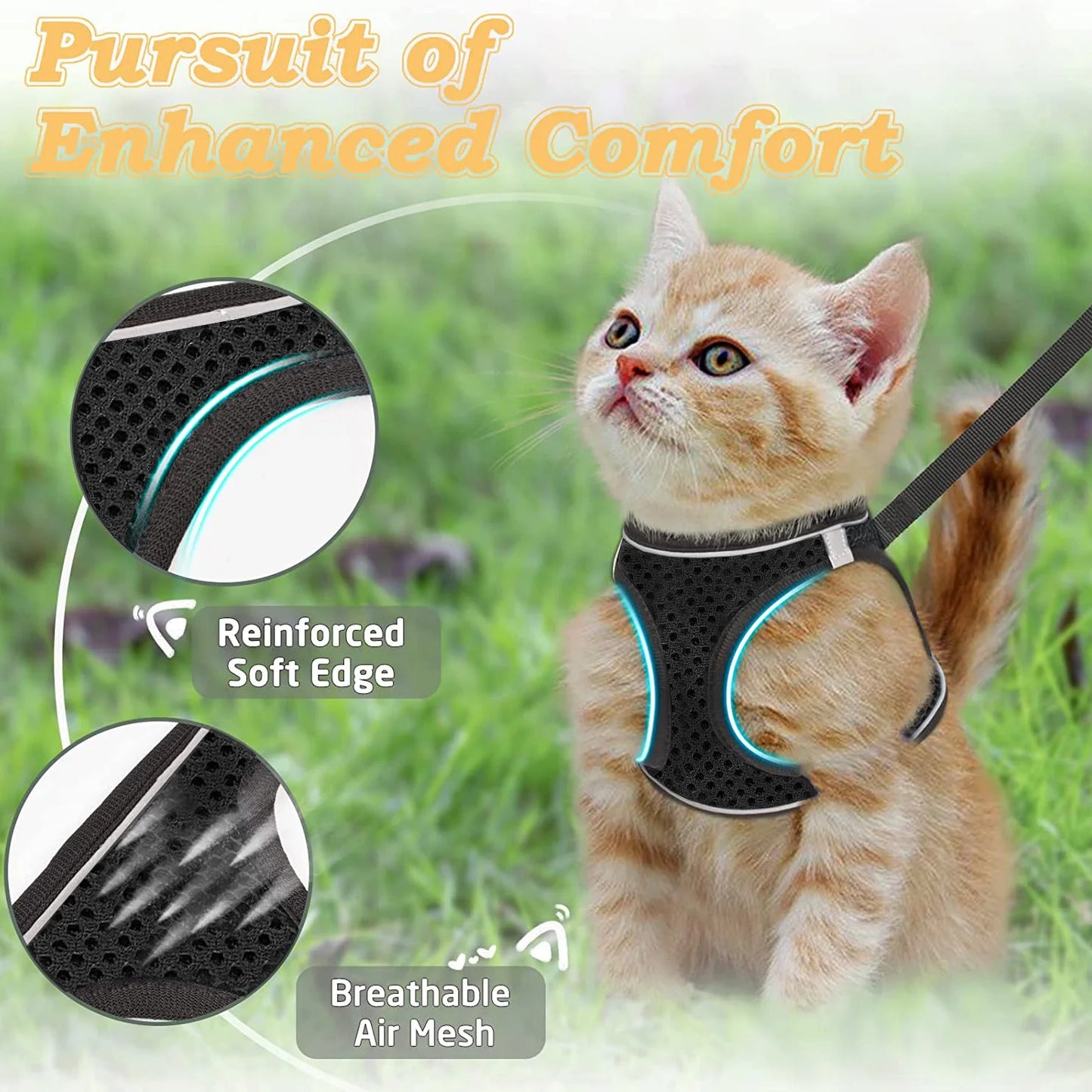 Escape-Proof Cat Harness Set