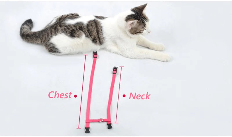 Nylon Pet Harness Set