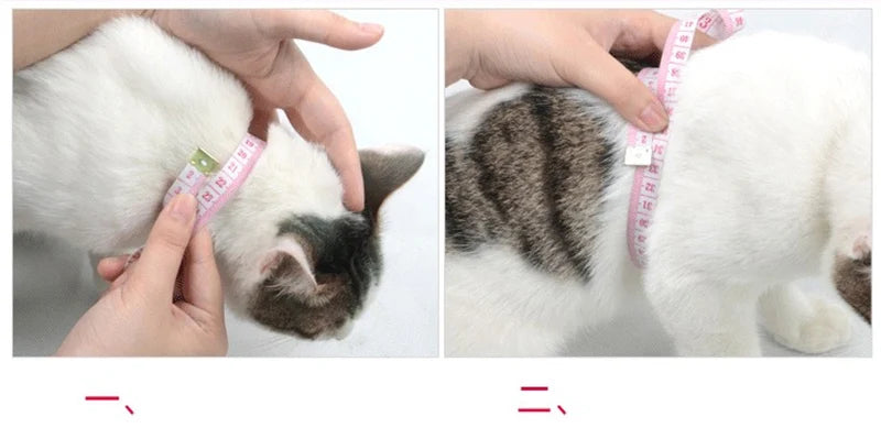 Nylon Pet Harness Set
