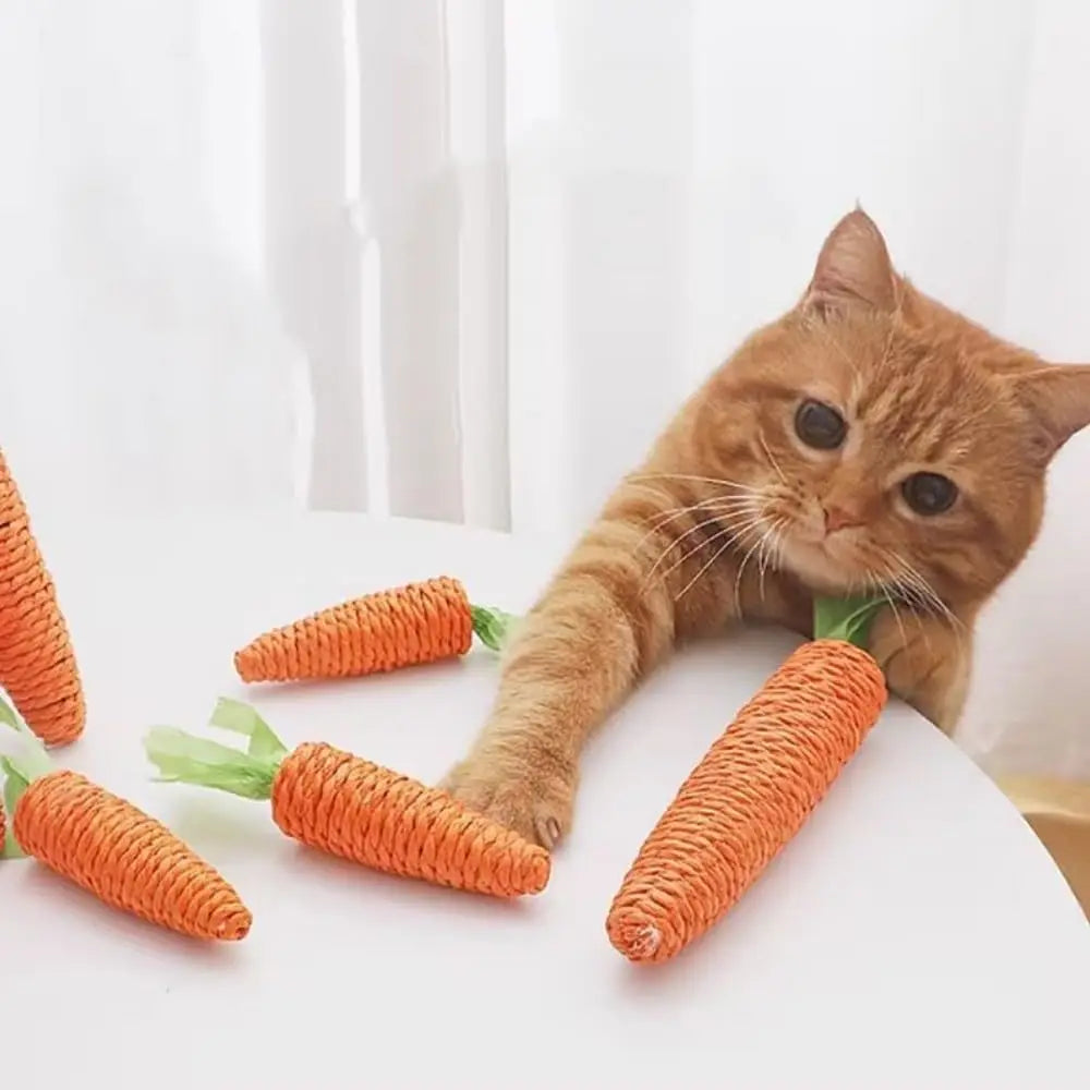 Carrot Cat Teether Toy