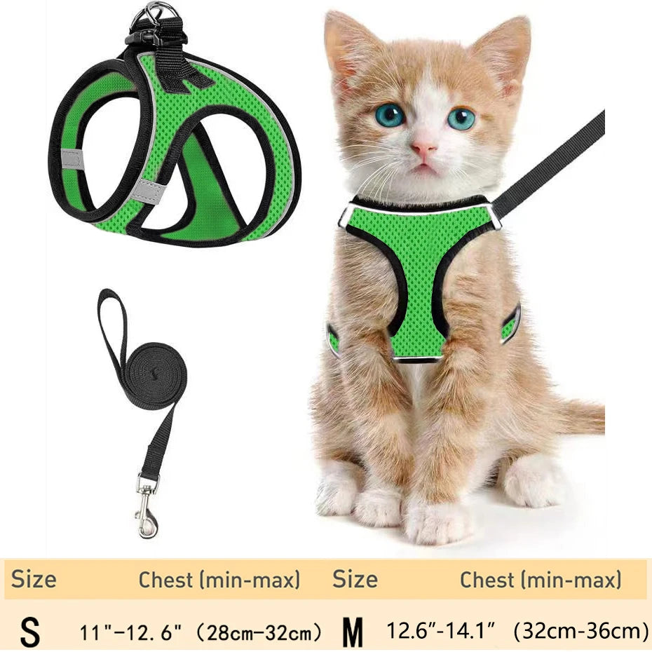 Escape-Proof Cat Harness Set
