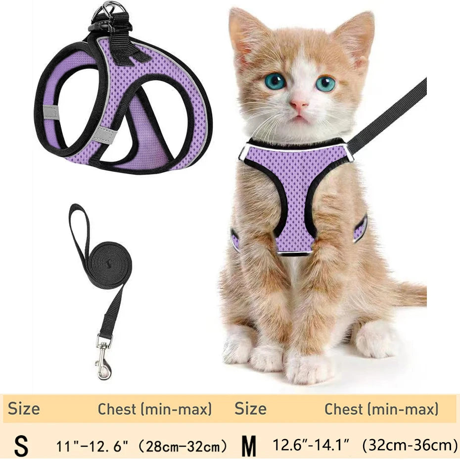 Escape-Proof Cat Harness Set