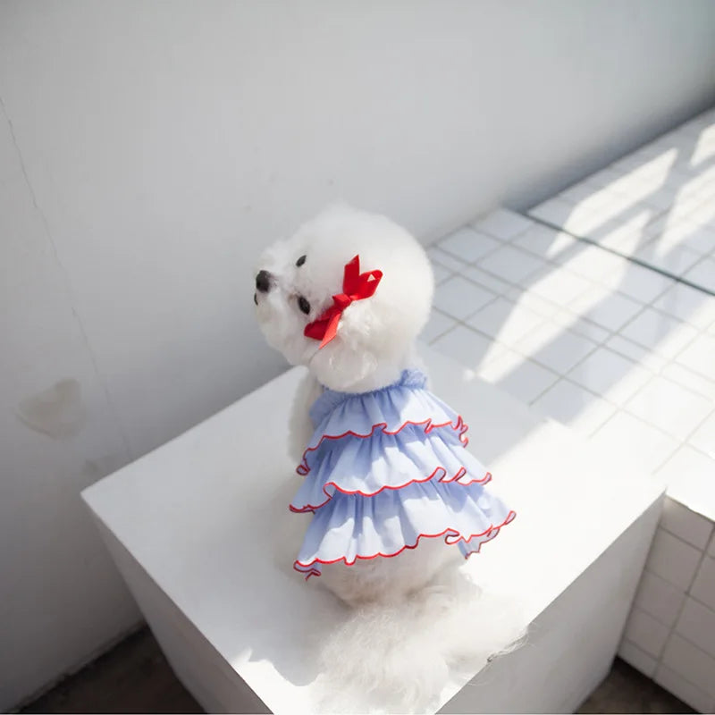 Dog Princess Summer Dress