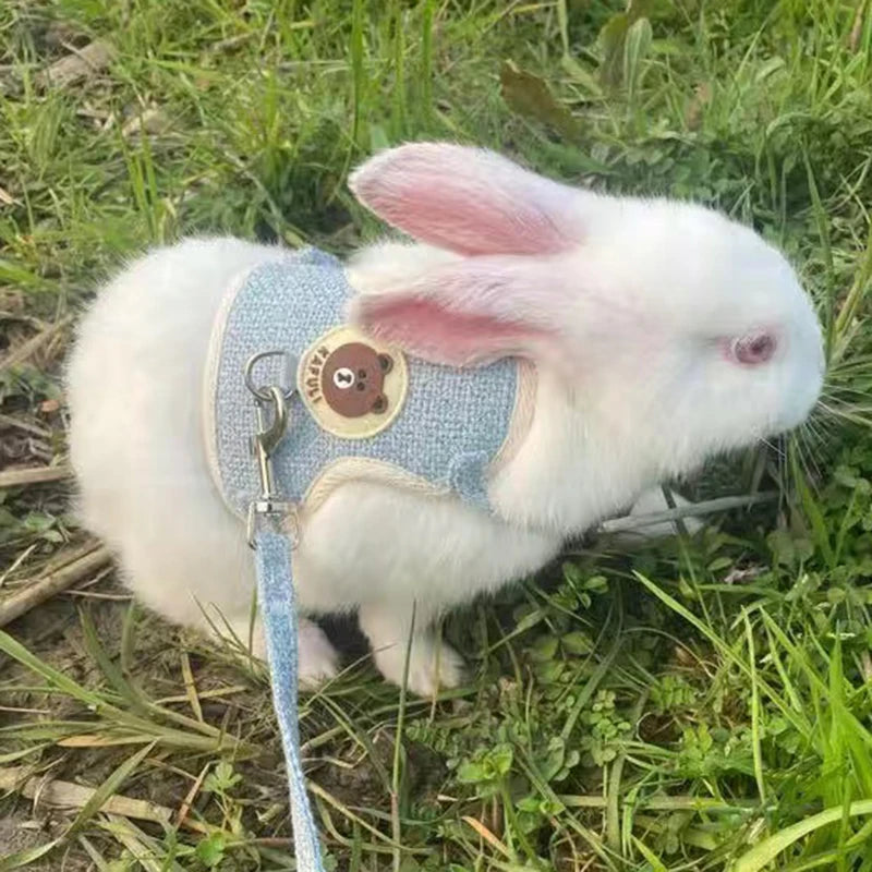 Rabbit Harness Leash Set