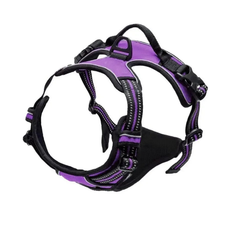 Leather Dog Harness Set