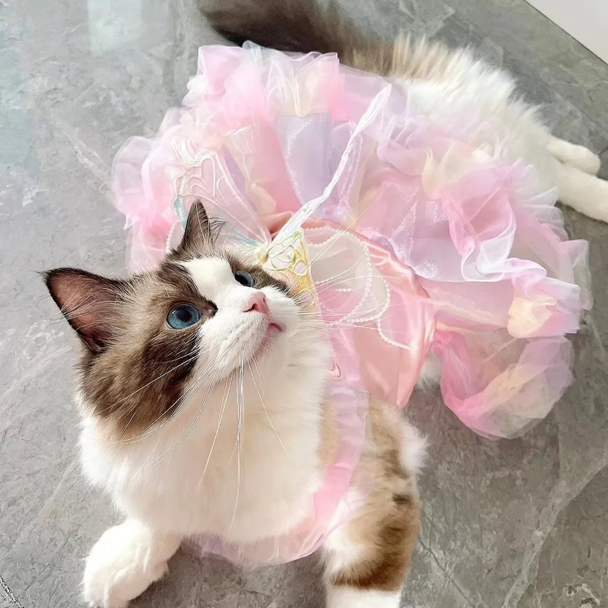 Striped Princess Pet Dress