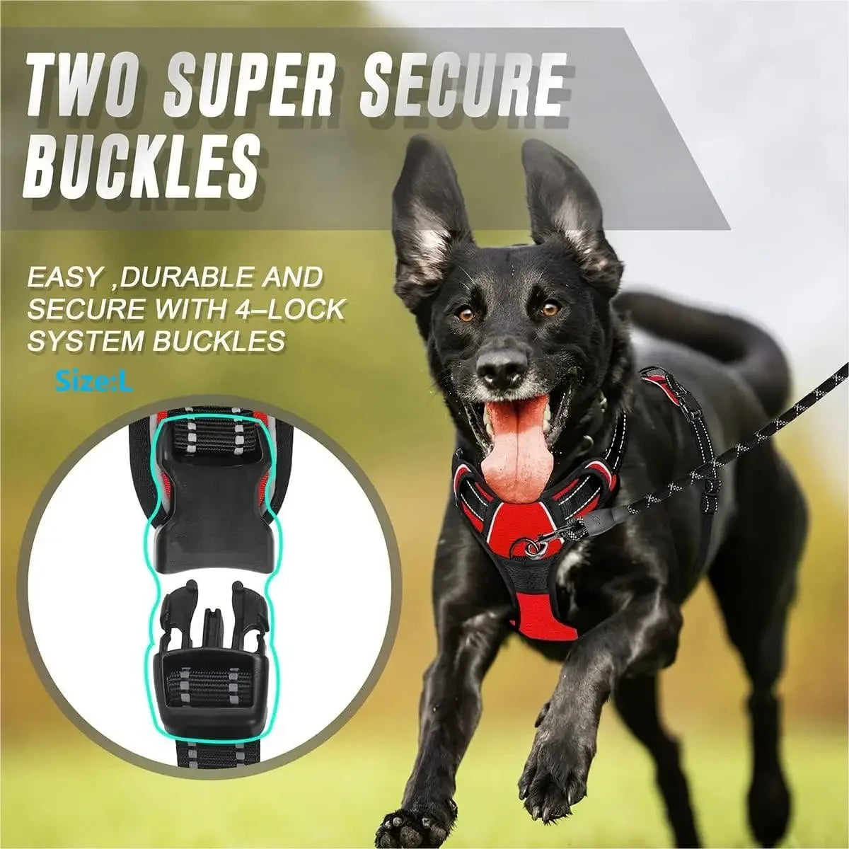 Leather Dog Harness Set