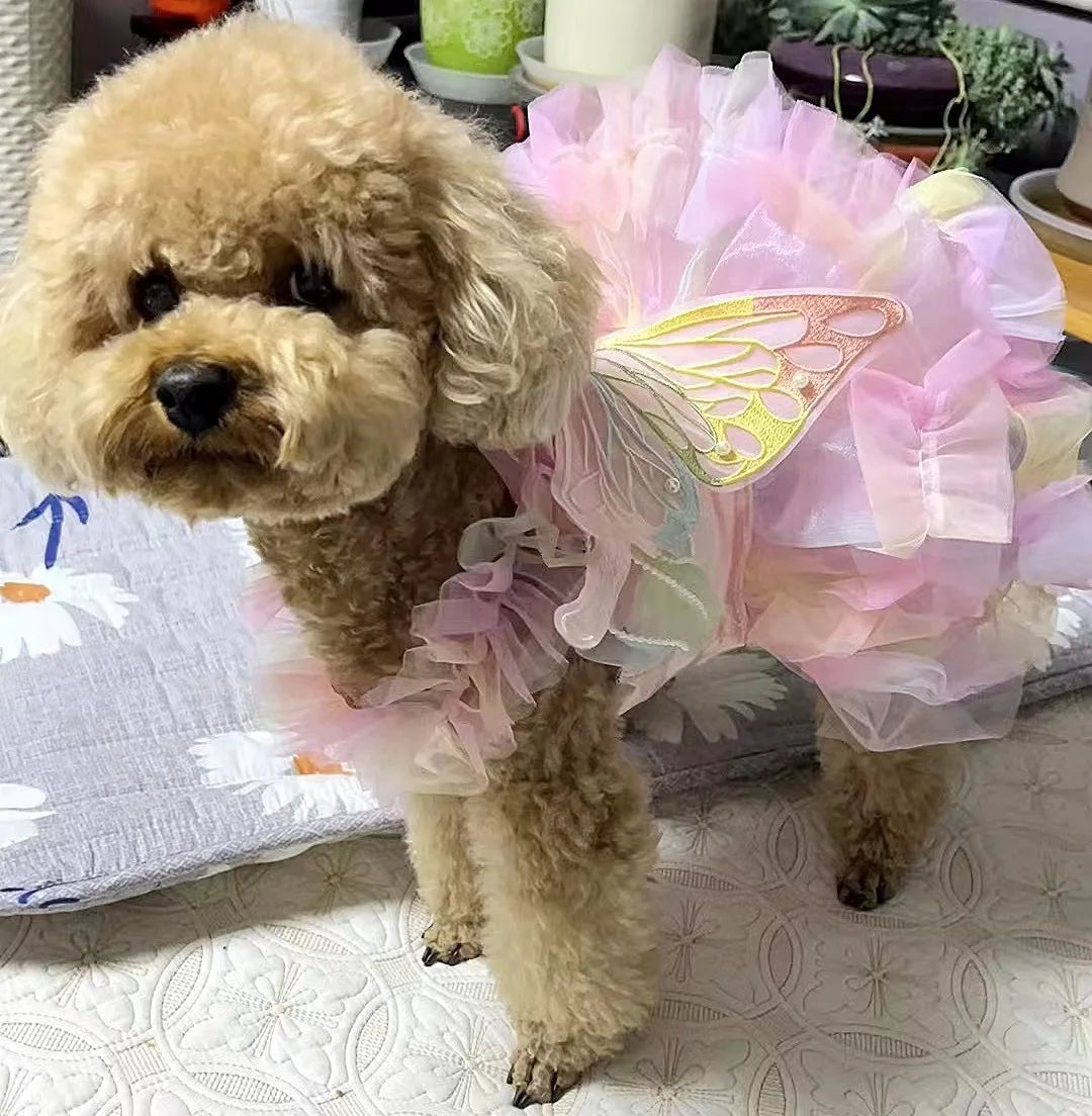 Striped Princess Pet Dress