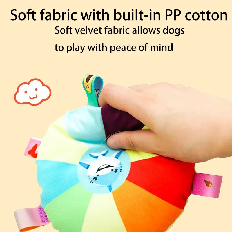 Rainbow Dog Saucer Toy