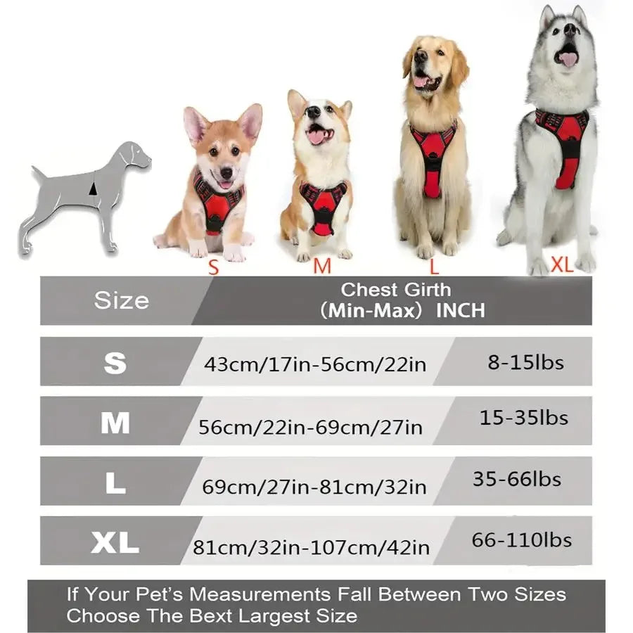 Leather Dog Harness Set