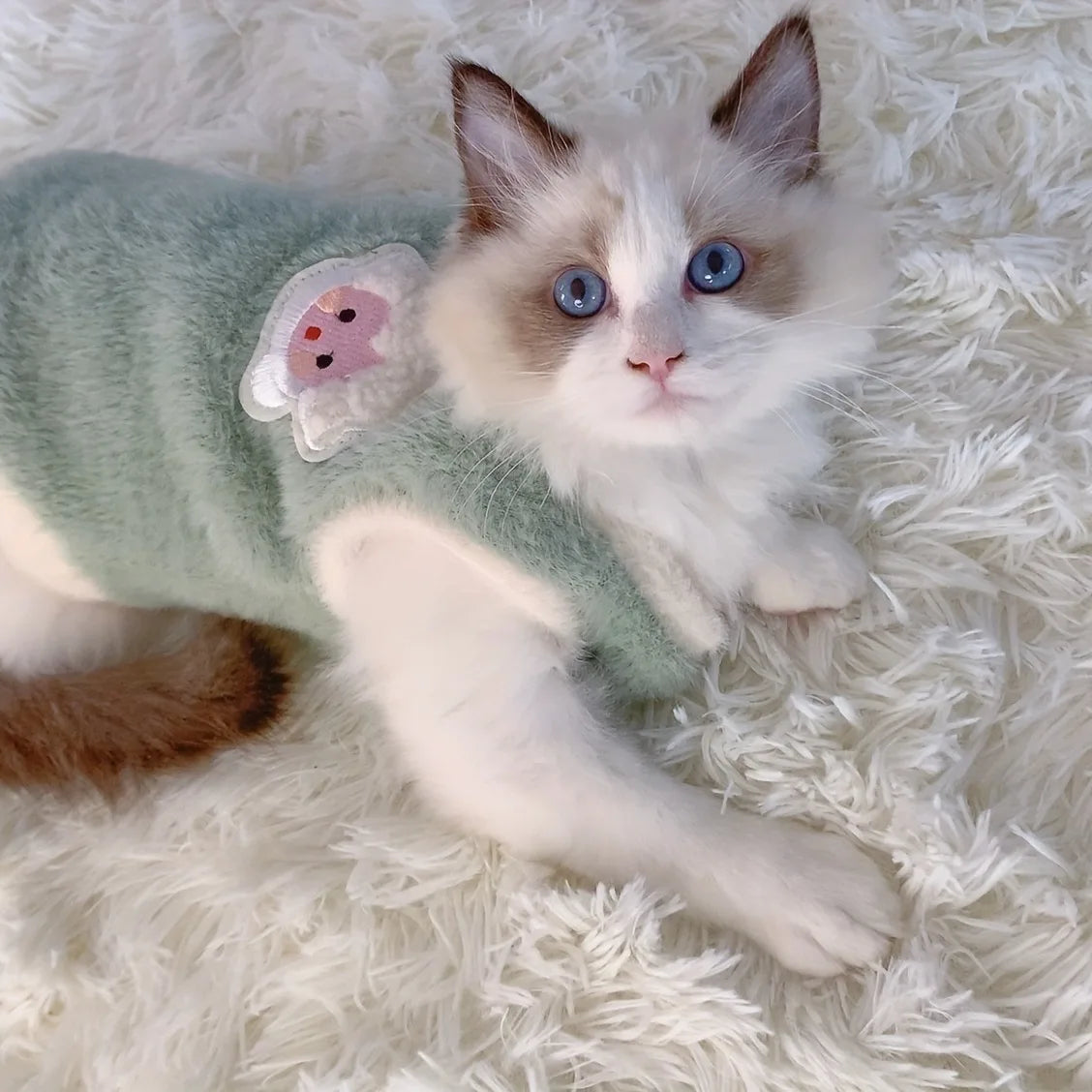 Warm Kitten Winter Vest