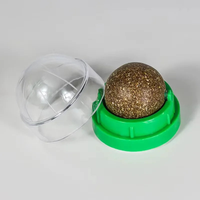 Catnip Wall Ball Toy