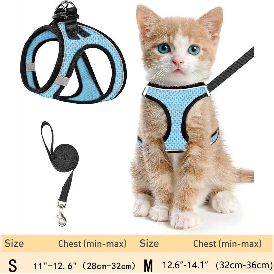 Escape-Proof Cat Harness Set