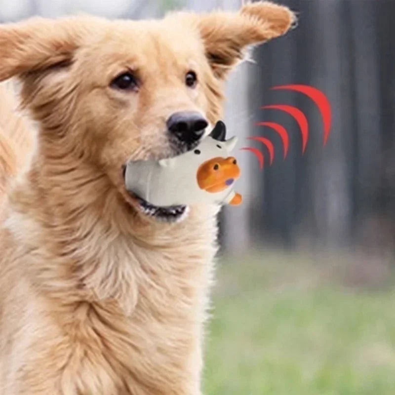 Dog Squeaky Toy