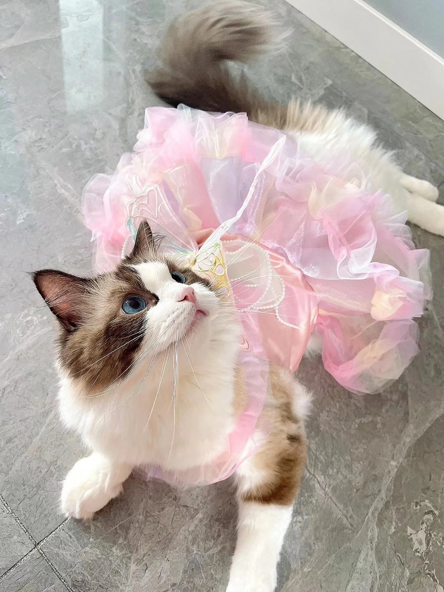Striped Princess Pet Dress