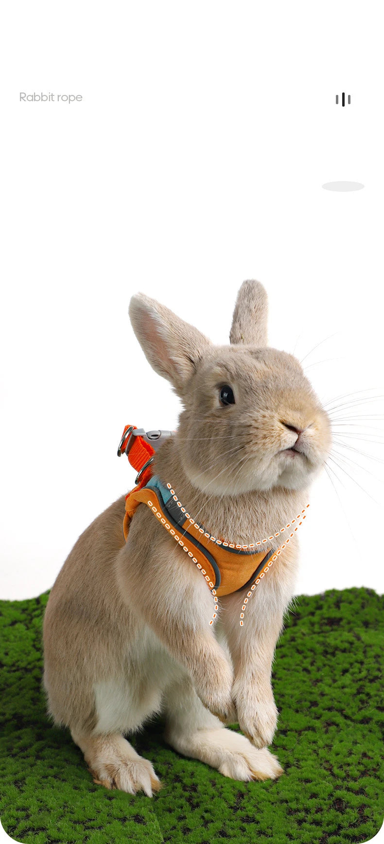 Adjustable Bunny Harness Set