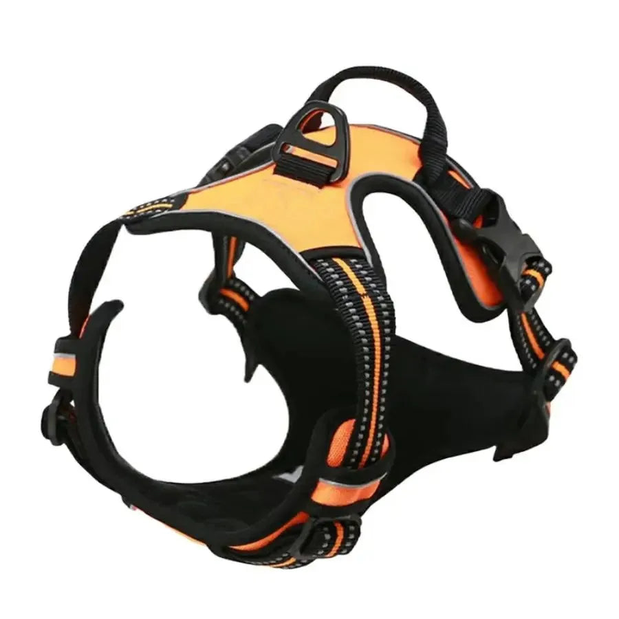 Leather Dog Harness Set