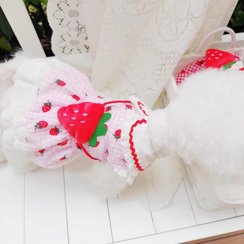 Strawberry Plaid Dog Dress