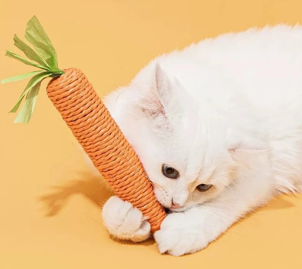 Carrot Cat Teether Toy