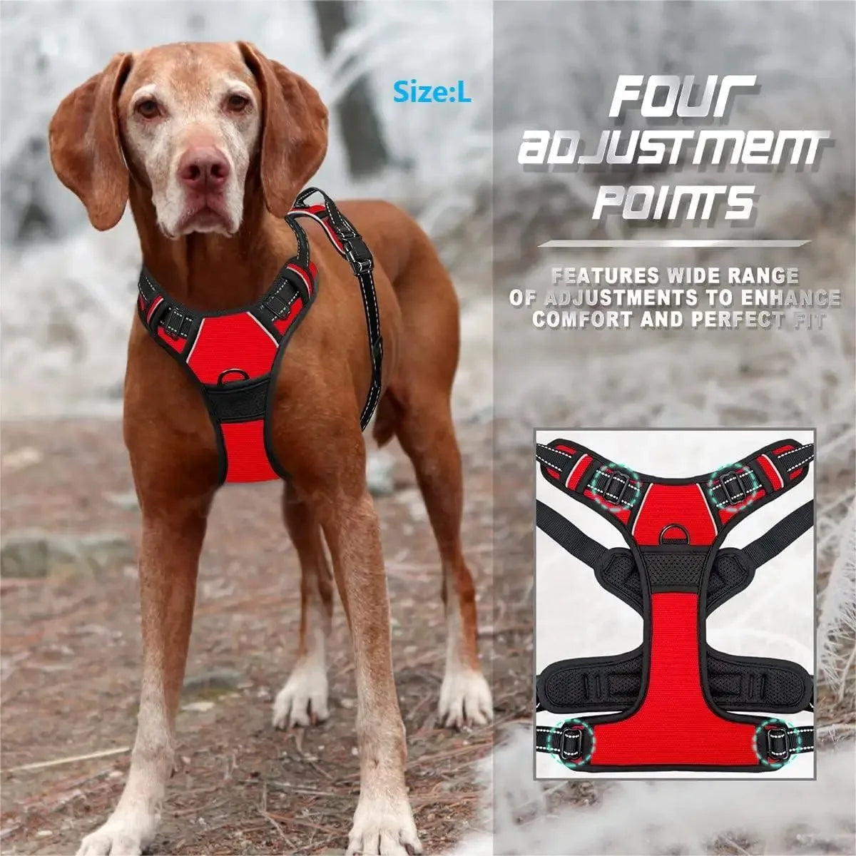Leather Dog Harness Set