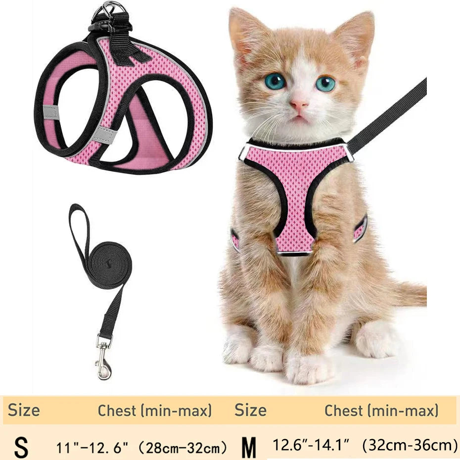 Escape-Proof Cat Harness Set