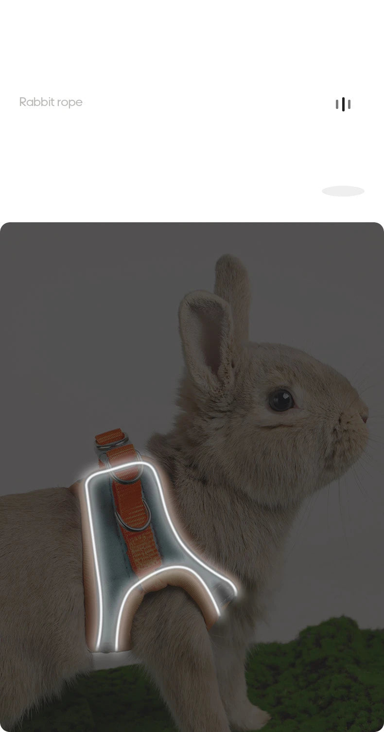 Adjustable Bunny Harness Set