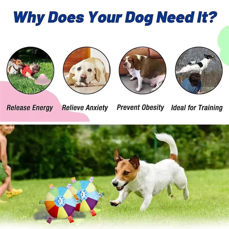 Rainbow Dog Saucer Toy