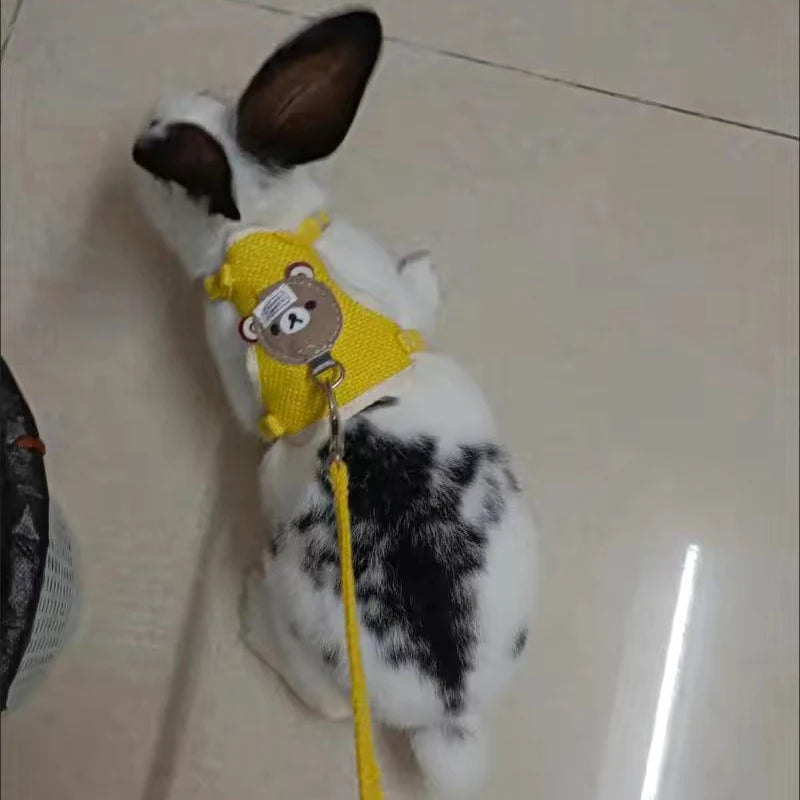 Rabbit Harness Leash Set