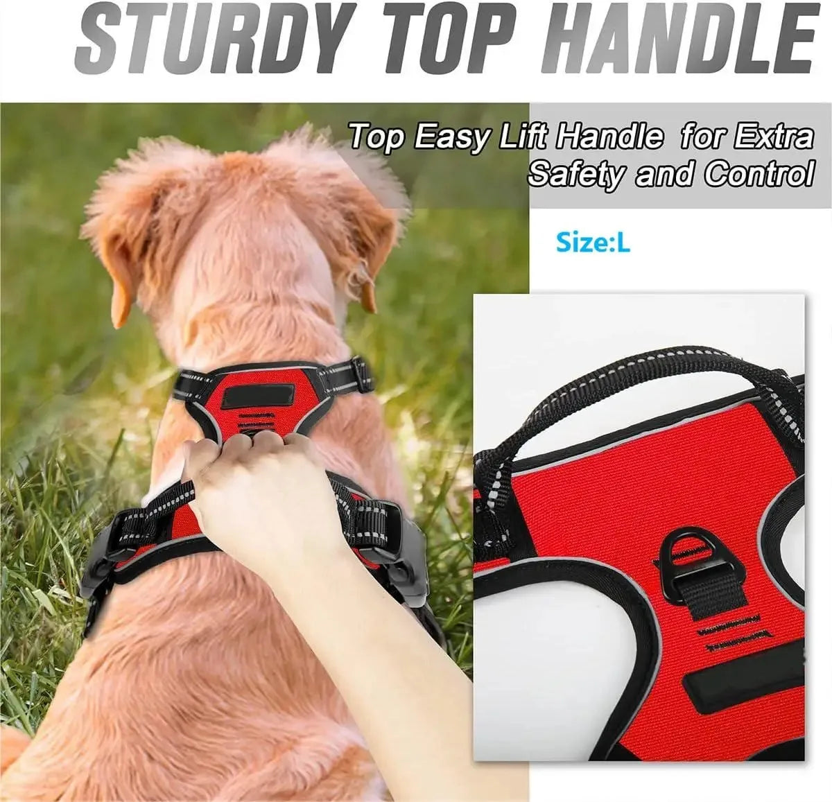 Leather Dog Harness Set