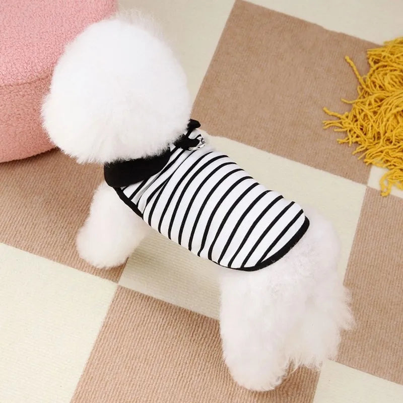 Luxury Bowknot Dog Dress