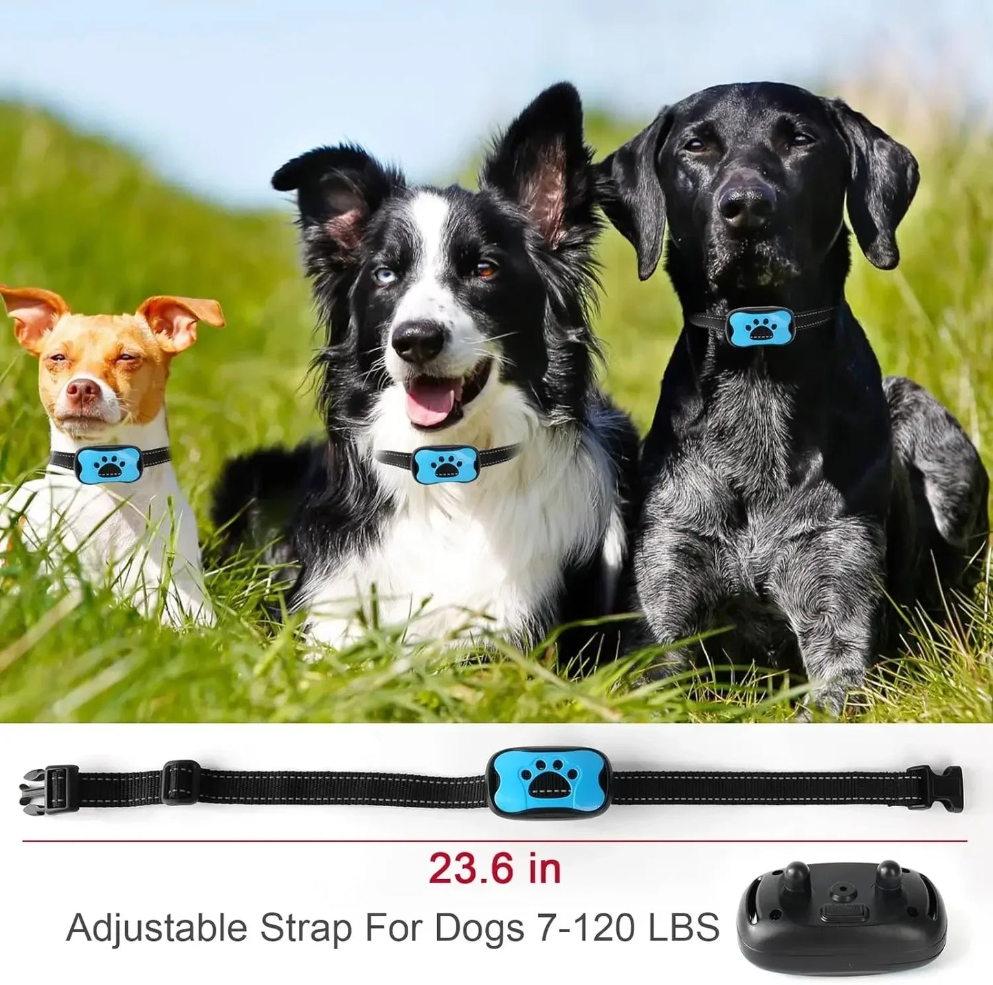 Anti-Bark Dog Collar