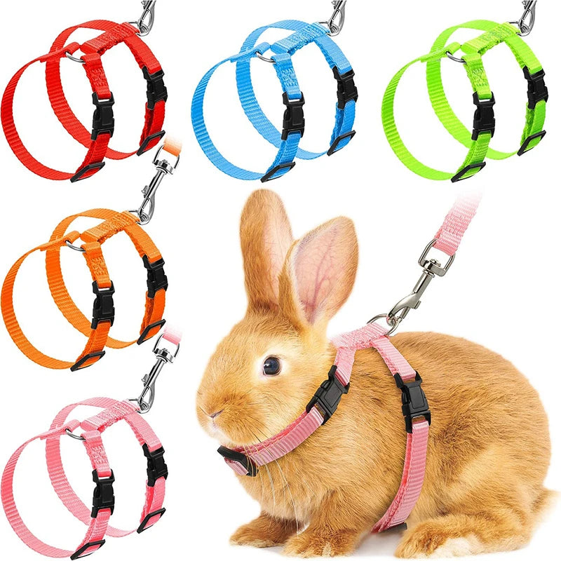 Nylon Pet Harness Set