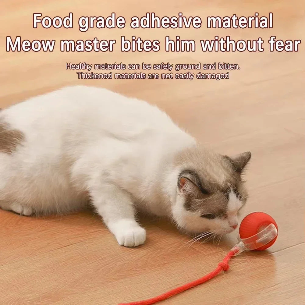 Smart Cat Toy Ball