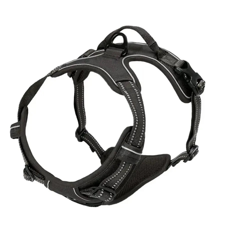 Leather Dog Harness Set