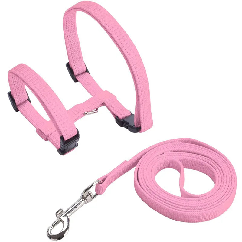 Nylon Pet Harness Set