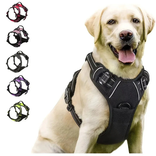 Leather Dog Harness Set