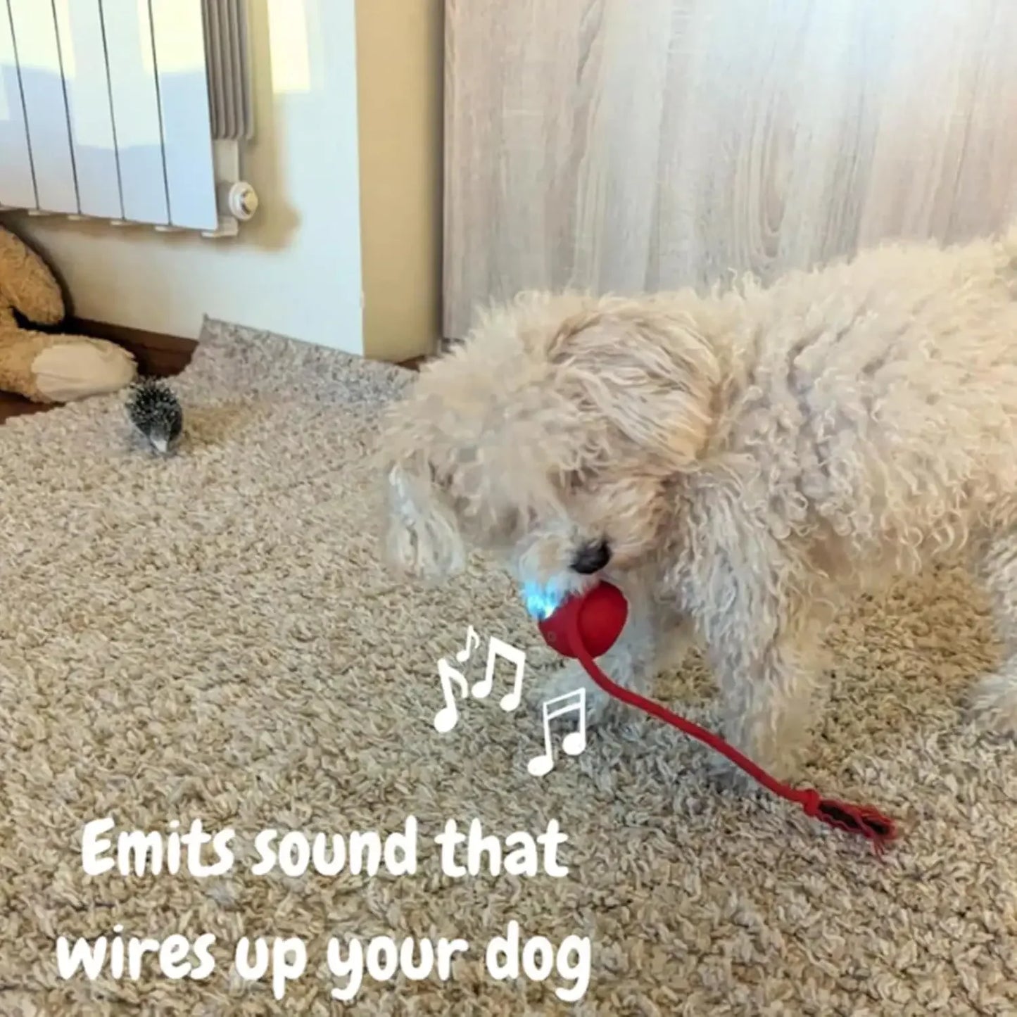 Automatic Rolling Ball Pet Toy