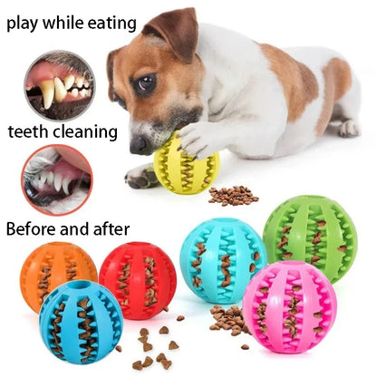 Natural Rubber Chew Toy for Dogs