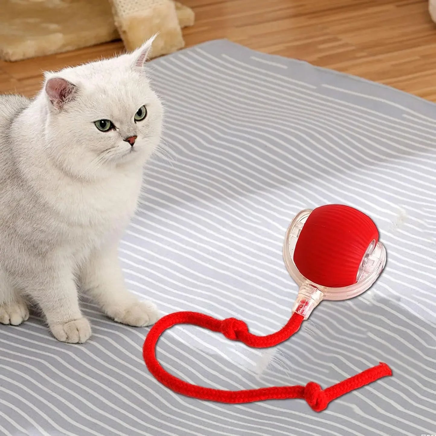 Automatic Rolling Ball Pet Toy