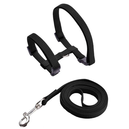 Nylon Pet Harness Set