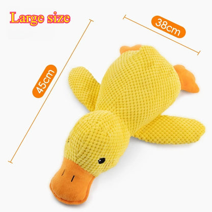 Plush Squeaky Dog Toy