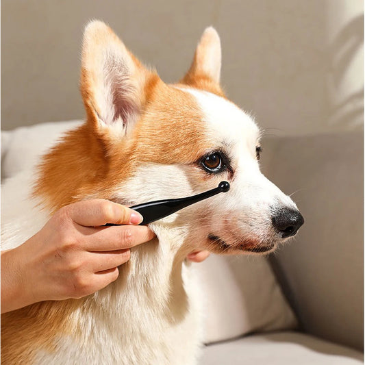 Anti-Static Pet Tear Brush