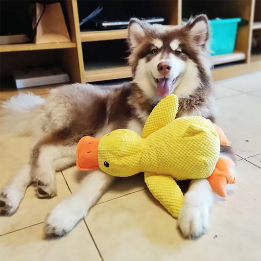 Stomping Duck Plush Dog Toy