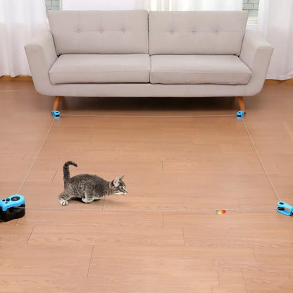 Interactive Cat Toy Wheel Exerciser