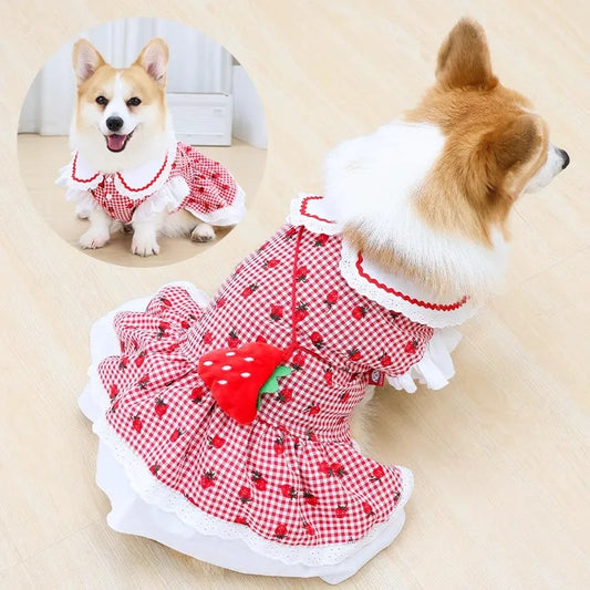 Strawberry Plaid Dog Dress
