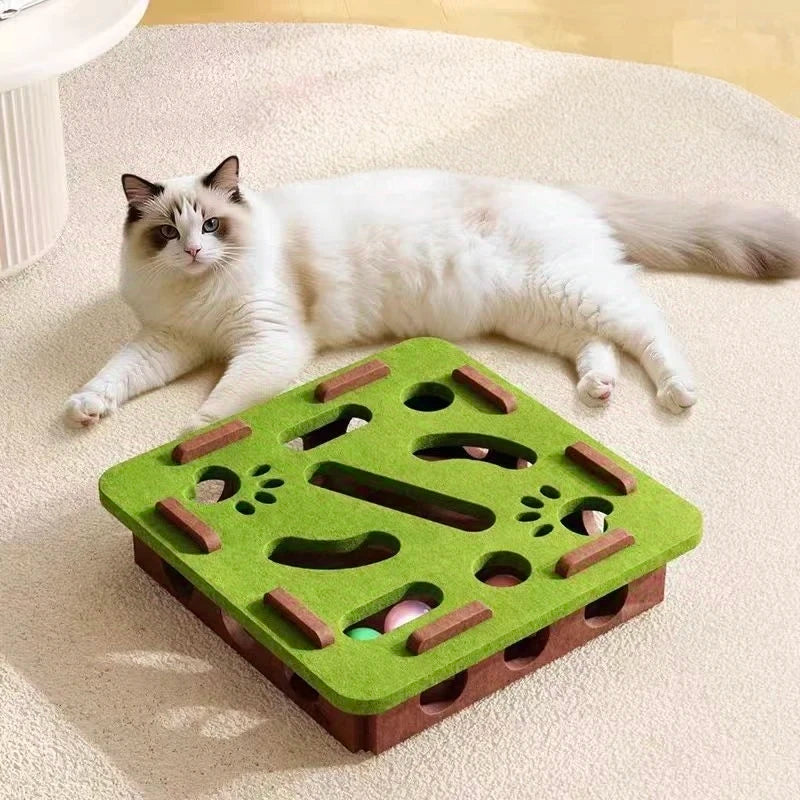 Pet Cat Puzzle Maze Toy