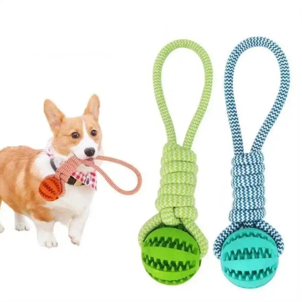 Interactive Treat Ball Dog Toy